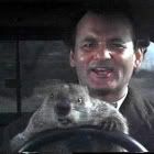 groundhog_day.jpg