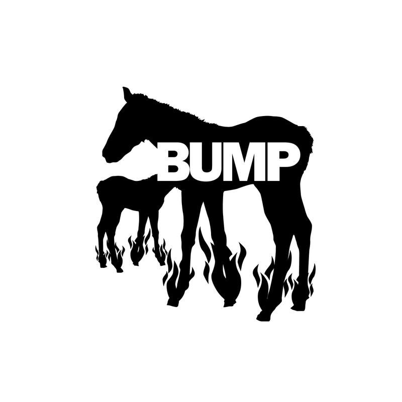 bump_graphic_2.jpg