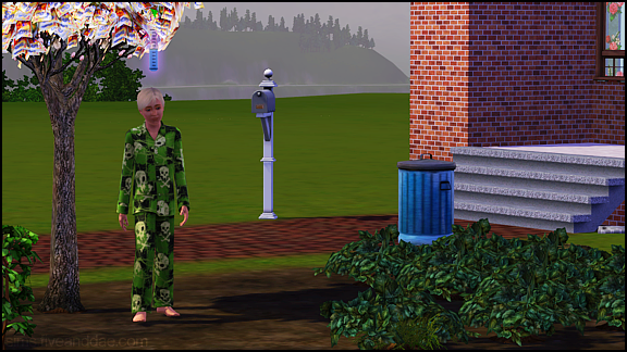 The spare in a sims 3 legacy story