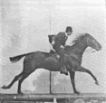 Eadweard Muybridge Pictures, Images and Photos