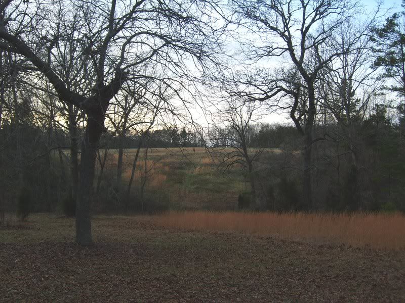  photo Picture233.jpg