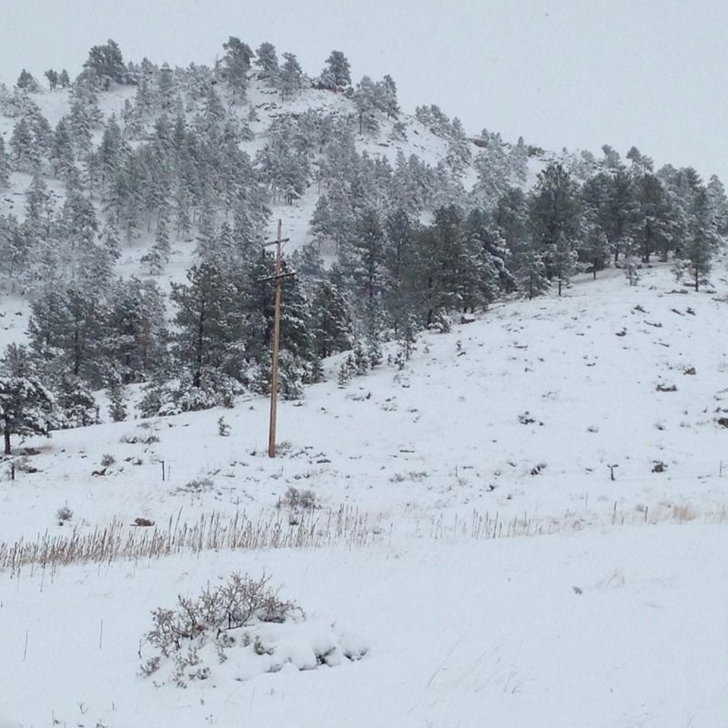 [Image: image.jpg1_1.jpg]