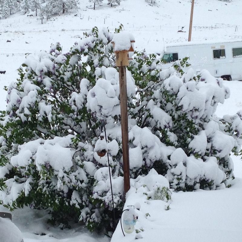 [Image: image.jpg2_1.jpg]