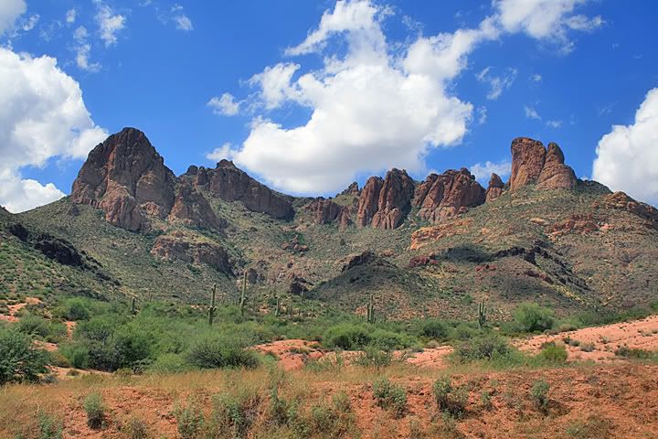 00902.jpg