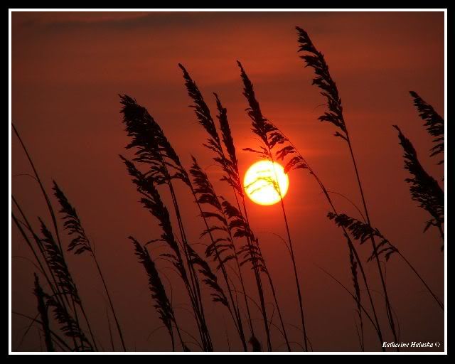 dustcloudsunset2.jpg