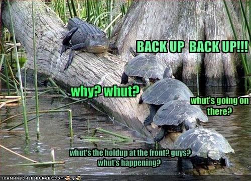 backup.jpg