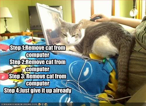 computer.jpg