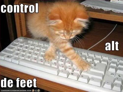 controlalt.jpg