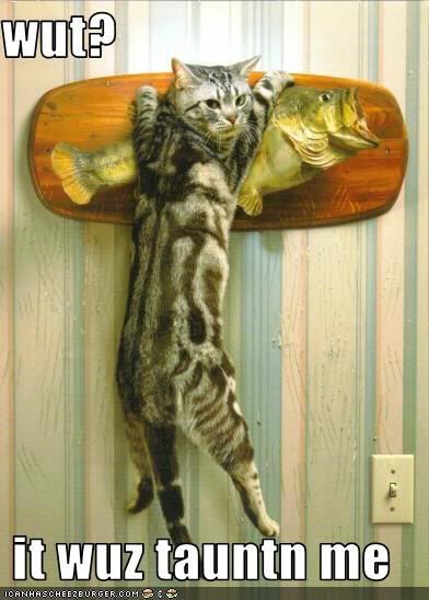 fish.jpg