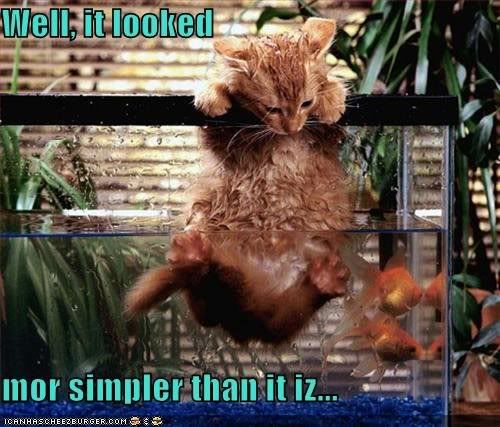 fishtank.jpg