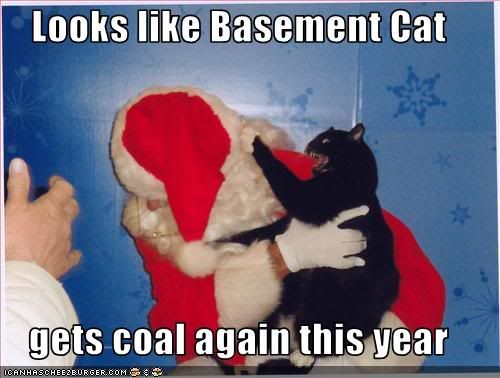 funny-pictures-basement-cat-attacks.jpg