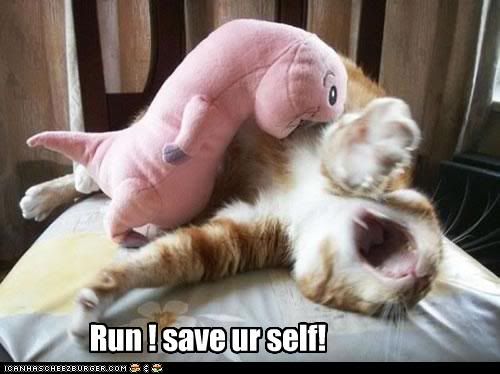 funny-pictures-cat-is-being-eaten-b.jpg