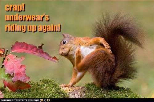 funny-pictures-squirrel-adjusts-his.jpg