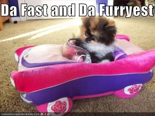 furryest.jpg