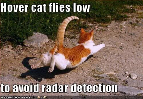 hovercat.jpg