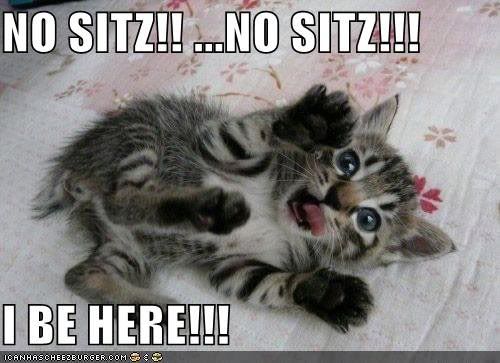 sitz.jpg