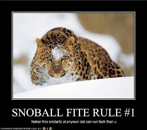 snowball.jpg