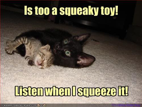 squeeky.jpg
