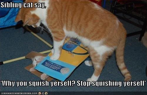 squish.jpg