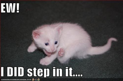 step.jpg