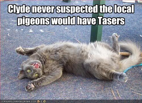 tasers.jpg