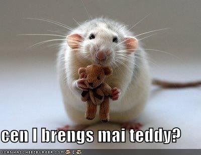 teddy.jpg