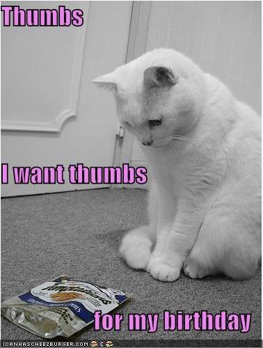 thumbs.jpg