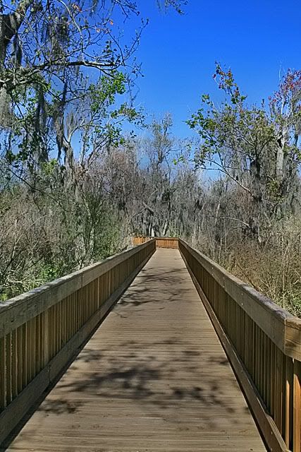 Boardwalk2FEB.jpg