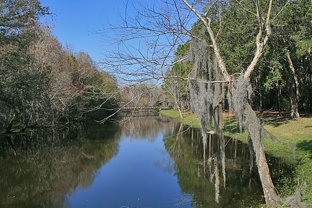Bridge22FEB.jpg
