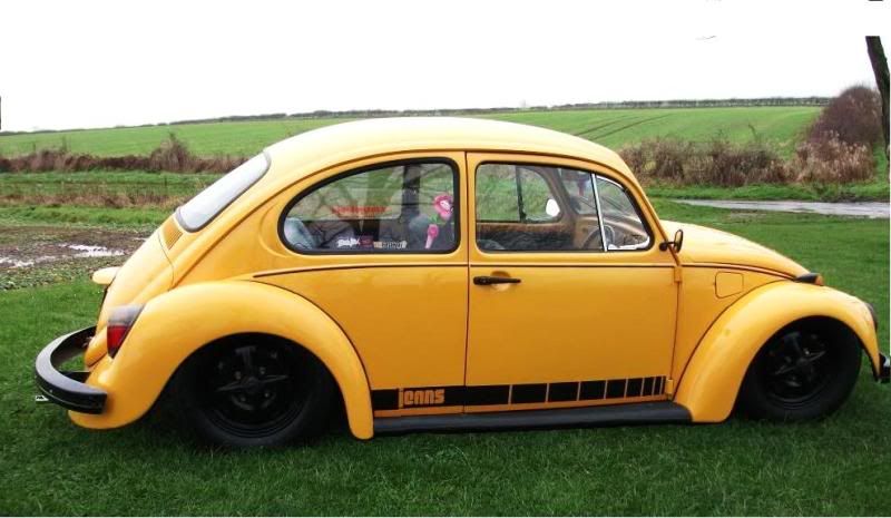 Just to tempt those slammed beetle whore's