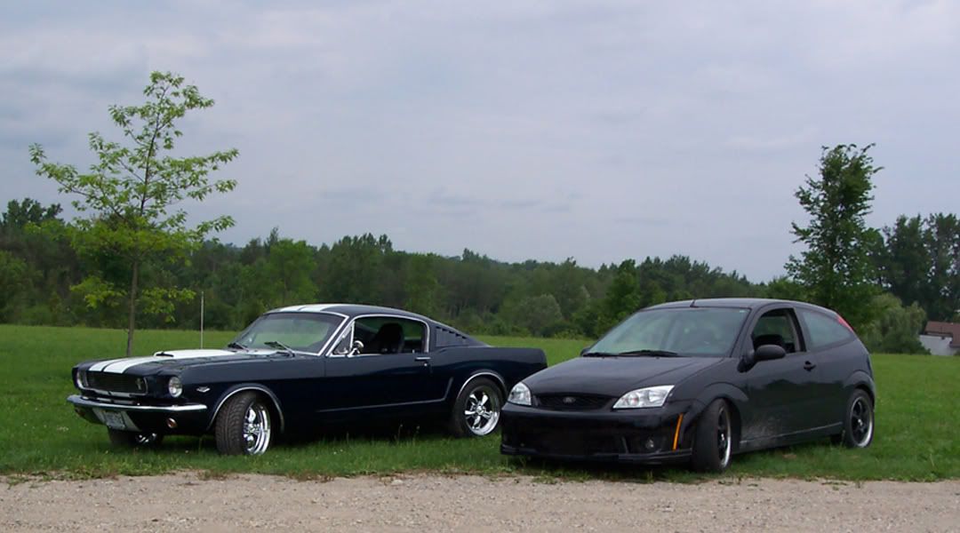 [Image: focusfastback01.jpg]