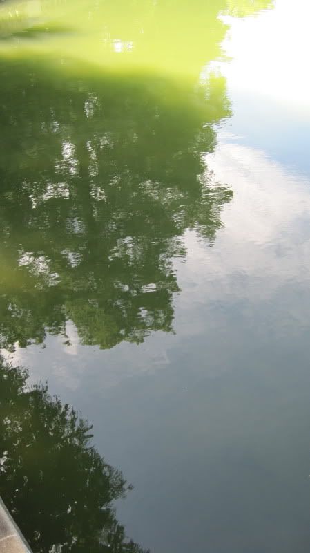 Tower Grove Park pond reflection