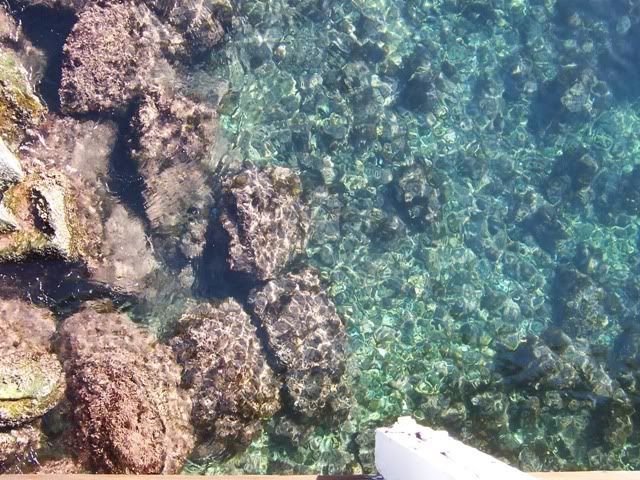 000_0517.jpg