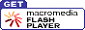Macromedia flash player