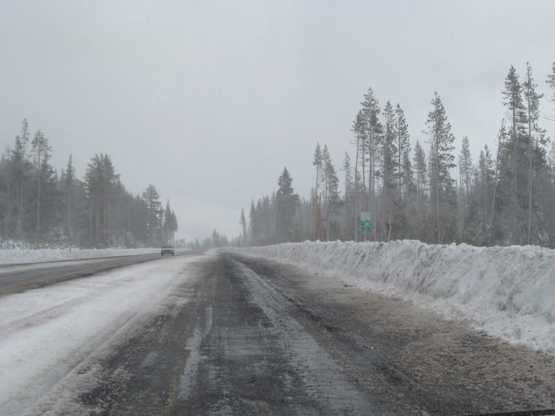 winter11006.jpg