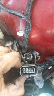 auto5spd plug 2 photo 20161103_163801_zpsupwzimrf.jpg