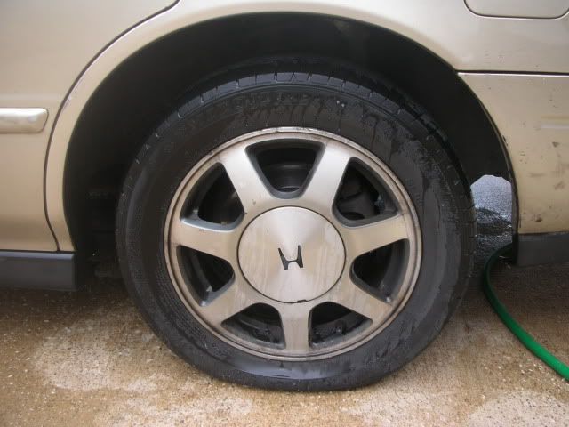 DSCN6421.jpg