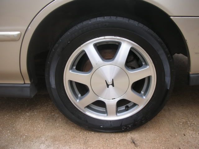DSCN6432.jpg
