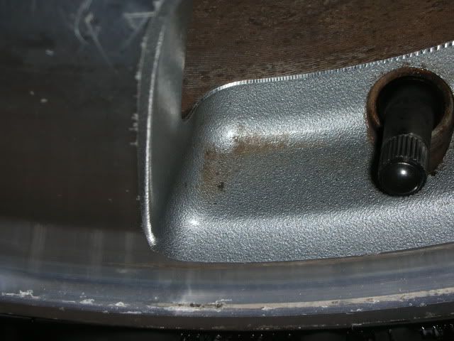 DSCN6434.jpg