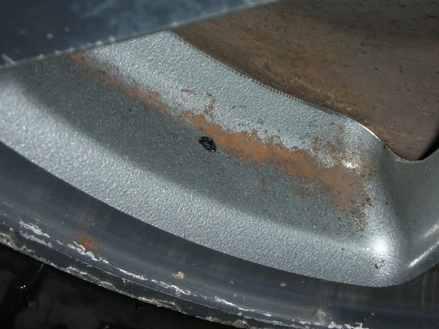 DSCN6436.jpg
