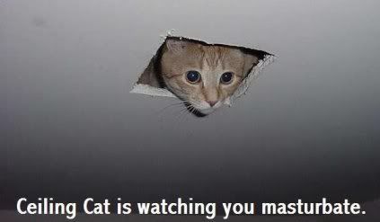 Posted Image