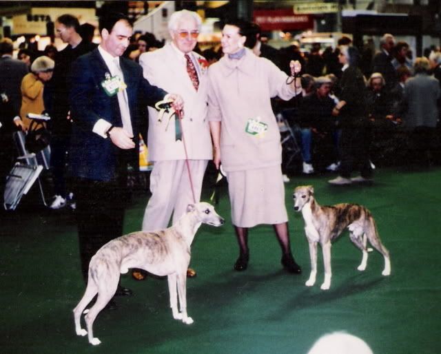 crufts1994dogs.jpg