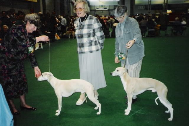 crufts1995dogs.jpg