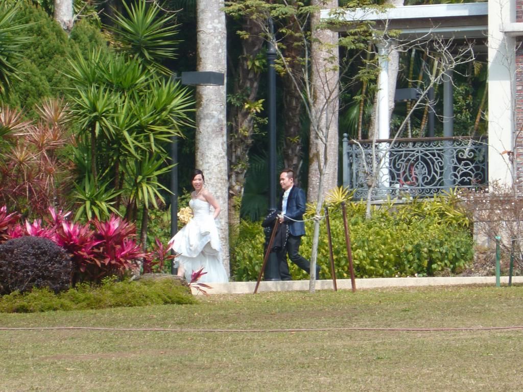Mariés dans les jardins