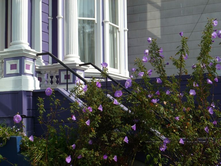 Maison violette, assortie aux fleurs