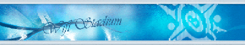 Wifi-stadium (wfs)