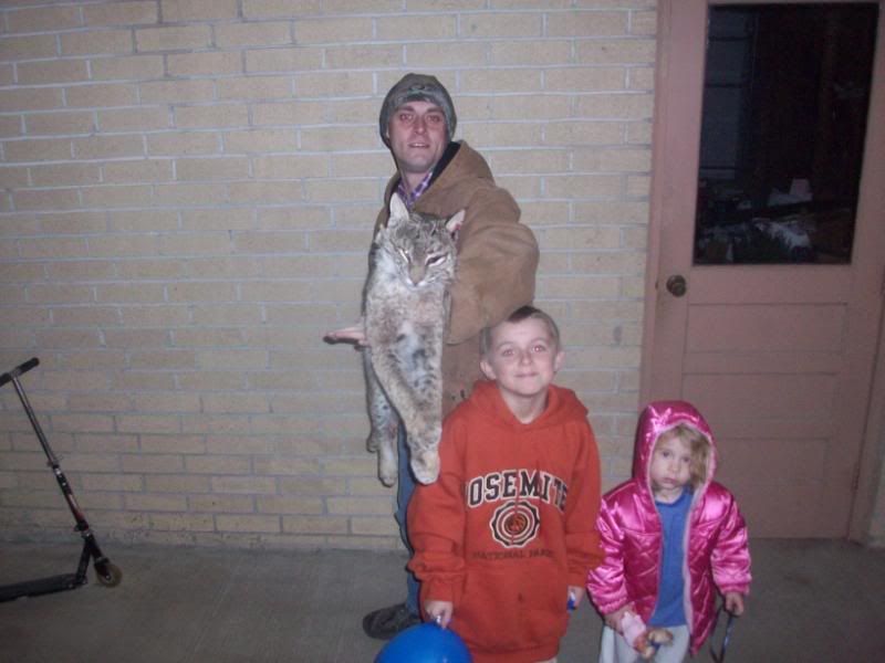 The man finally got a bobcat!  Well, 2... - The Great Outdoors