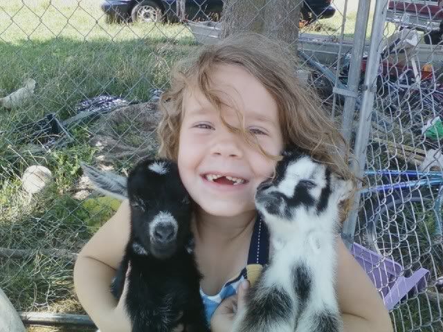 A pic of DD5 and the bucklings - Goats