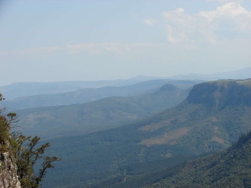 DSC01334.jpg