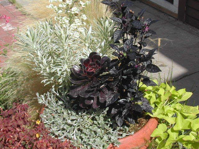 Photo Sharing and Video Hosting at Photobucket